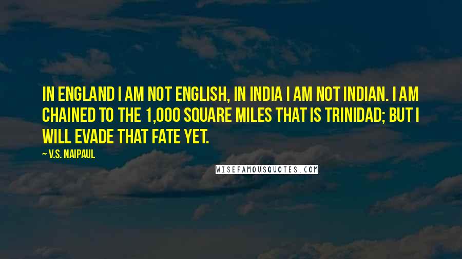 V.S. Naipaul Quotes: In England I am not English, in India I am not Indian. I am chained to the 1,000 square miles that is Trinidad; but I will evade that fate yet.