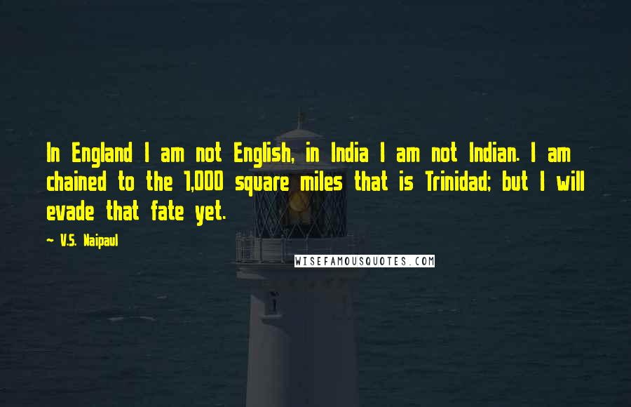 V.S. Naipaul Quotes: In England I am not English, in India I am not Indian. I am chained to the 1,000 square miles that is Trinidad; but I will evade that fate yet.