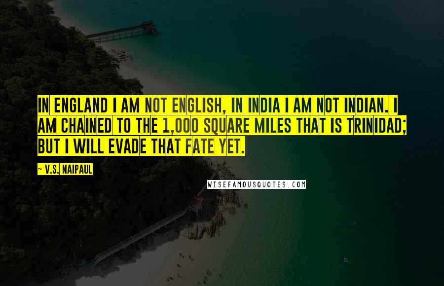 V.S. Naipaul Quotes: In England I am not English, in India I am not Indian. I am chained to the 1,000 square miles that is Trinidad; but I will evade that fate yet.