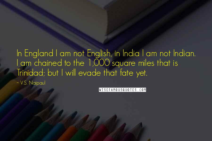 V.S. Naipaul Quotes: In England I am not English, in India I am not Indian. I am chained to the 1,000 square miles that is Trinidad; but I will evade that fate yet.