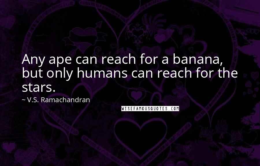 V.S. Ramachandran Quotes: Any ape can reach for a banana, but only humans can reach for the stars.