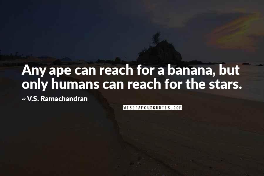 V.S. Ramachandran Quotes: Any ape can reach for a banana, but only humans can reach for the stars.