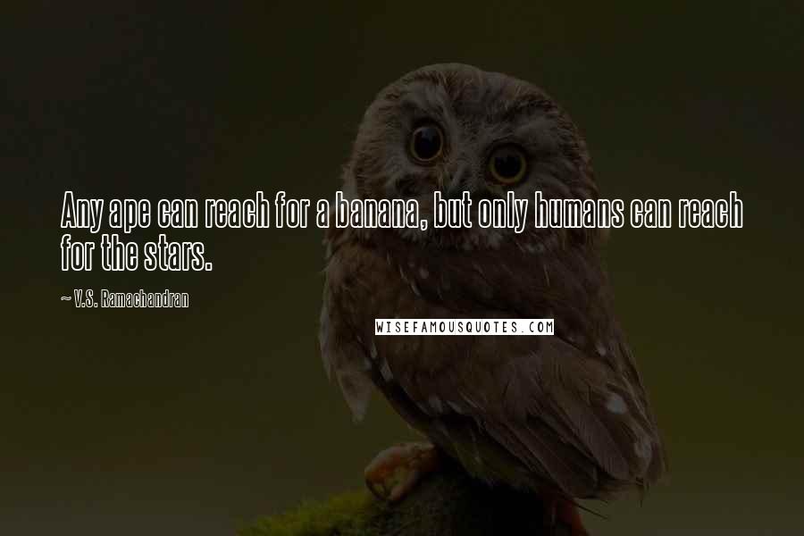 V.S. Ramachandran Quotes: Any ape can reach for a banana, but only humans can reach for the stars.