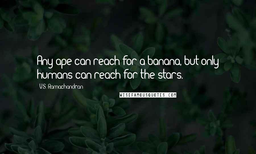 V.S. Ramachandran Quotes: Any ape can reach for a banana, but only humans can reach for the stars.