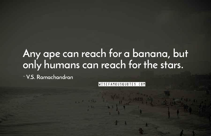 V.S. Ramachandran Quotes: Any ape can reach for a banana, but only humans can reach for the stars.