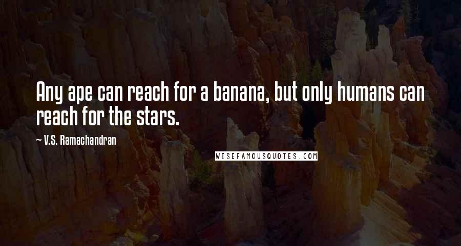 V.S. Ramachandran Quotes: Any ape can reach for a banana, but only humans can reach for the stars.