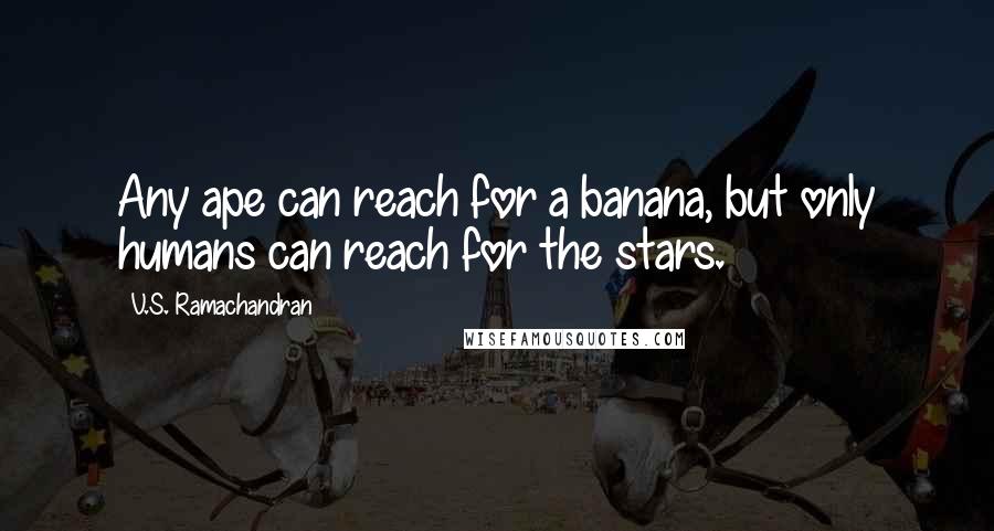 V.S. Ramachandran Quotes: Any ape can reach for a banana, but only humans can reach for the stars.