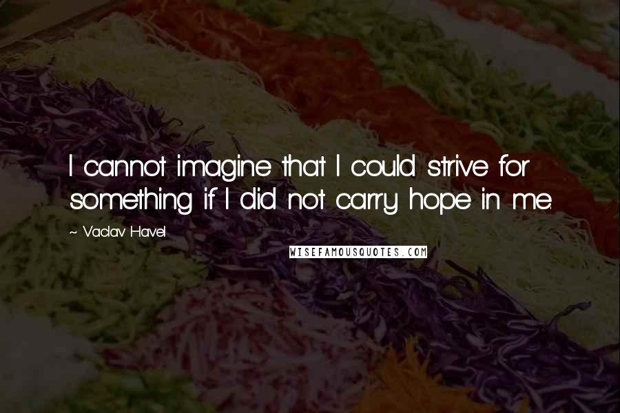 Vaclav Havel Quotes: I cannot imagine that I could strive for something if I did not carry hope in me.