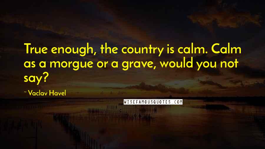 Vaclav Havel Quotes: True enough, the country is calm. Calm as a morgue or a grave, would you not say?