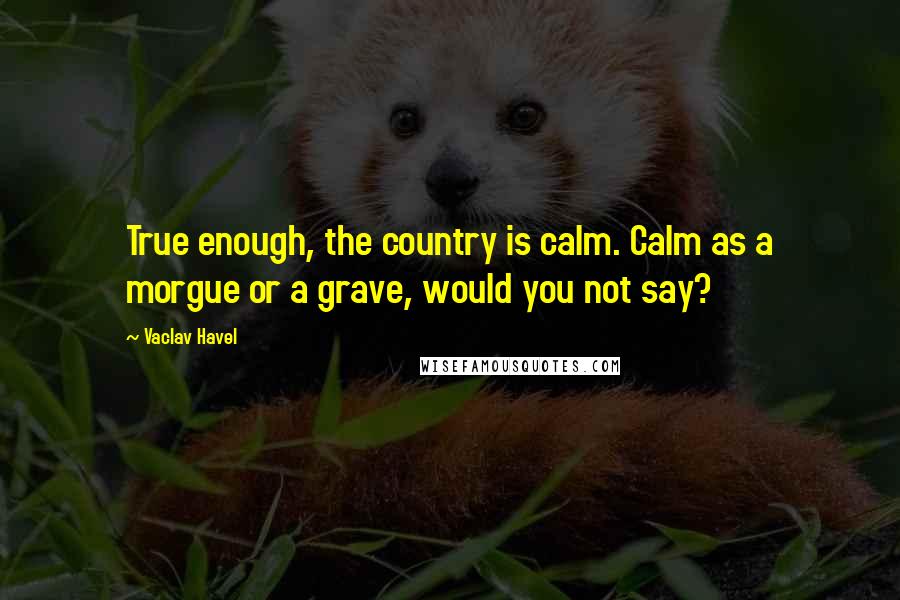 Vaclav Havel Quotes: True enough, the country is calm. Calm as a morgue or a grave, would you not say?