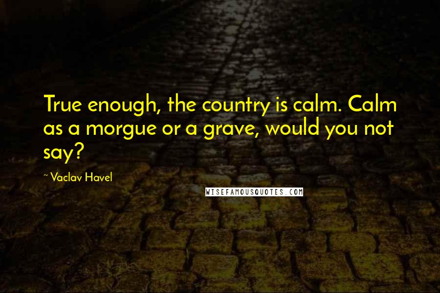 Vaclav Havel Quotes: True enough, the country is calm. Calm as a morgue or a grave, would you not say?
