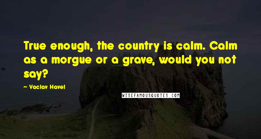 Vaclav Havel Quotes: True enough, the country is calm. Calm as a morgue or a grave, would you not say?