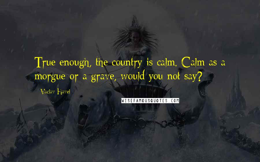 Vaclav Havel Quotes: True enough, the country is calm. Calm as a morgue or a grave, would you not say?