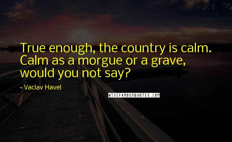 Vaclav Havel Quotes: True enough, the country is calm. Calm as a morgue or a grave, would you not say?