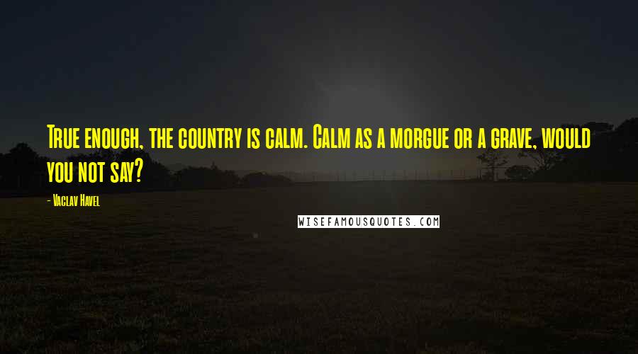 Vaclav Havel Quotes: True enough, the country is calm. Calm as a morgue or a grave, would you not say?