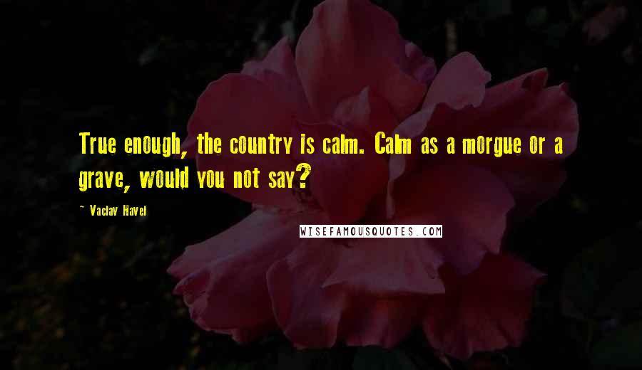 Vaclav Havel Quotes: True enough, the country is calm. Calm as a morgue or a grave, would you not say?