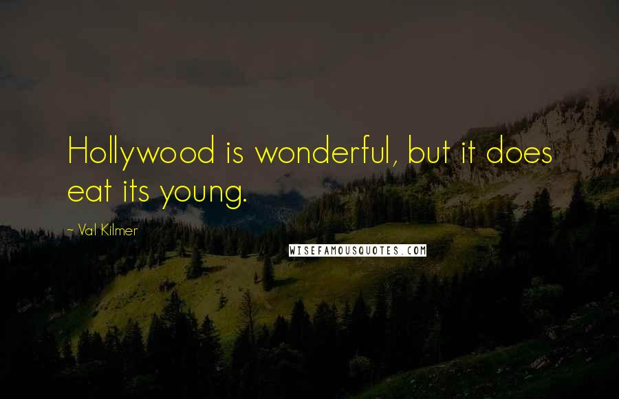 Val Kilmer Quotes: Hollywood is wonderful, but it does eat its young.