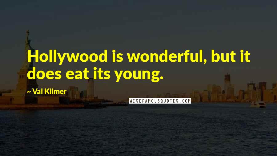 Val Kilmer Quotes: Hollywood is wonderful, but it does eat its young.