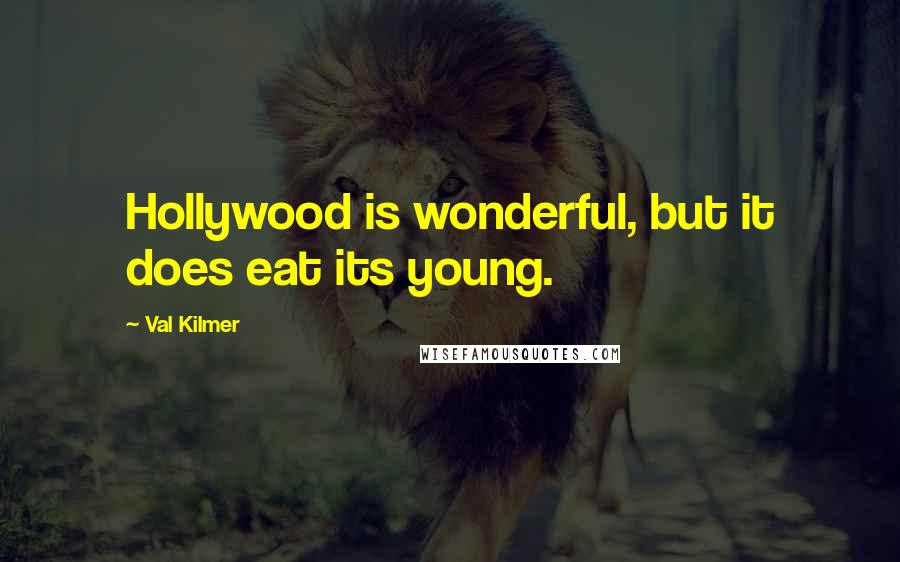 Val Kilmer Quotes: Hollywood is wonderful, but it does eat its young.