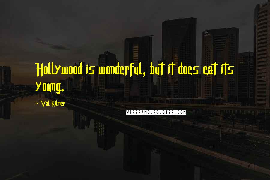 Val Kilmer Quotes: Hollywood is wonderful, but it does eat its young.