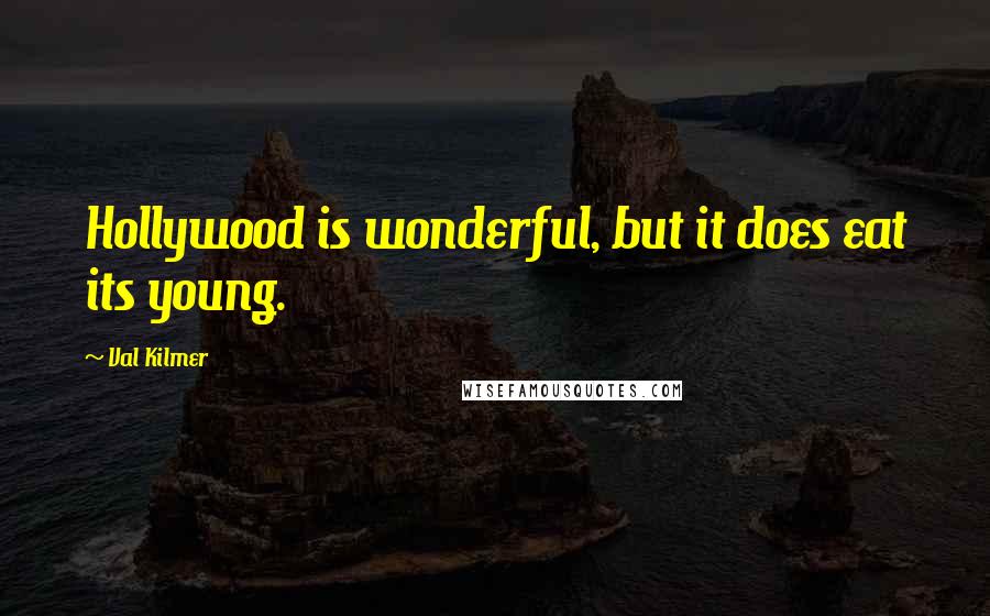 Val Kilmer Quotes: Hollywood is wonderful, but it does eat its young.