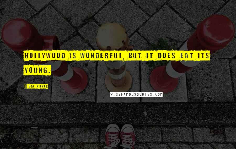 Val Kilmer Quotes: Hollywood is wonderful, but it does eat its young.