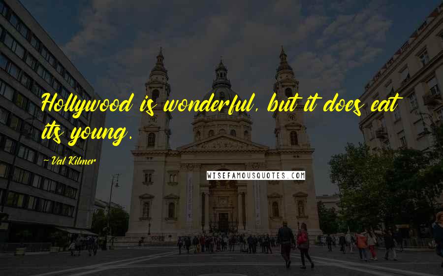 Val Kilmer Quotes: Hollywood is wonderful, but it does eat its young.