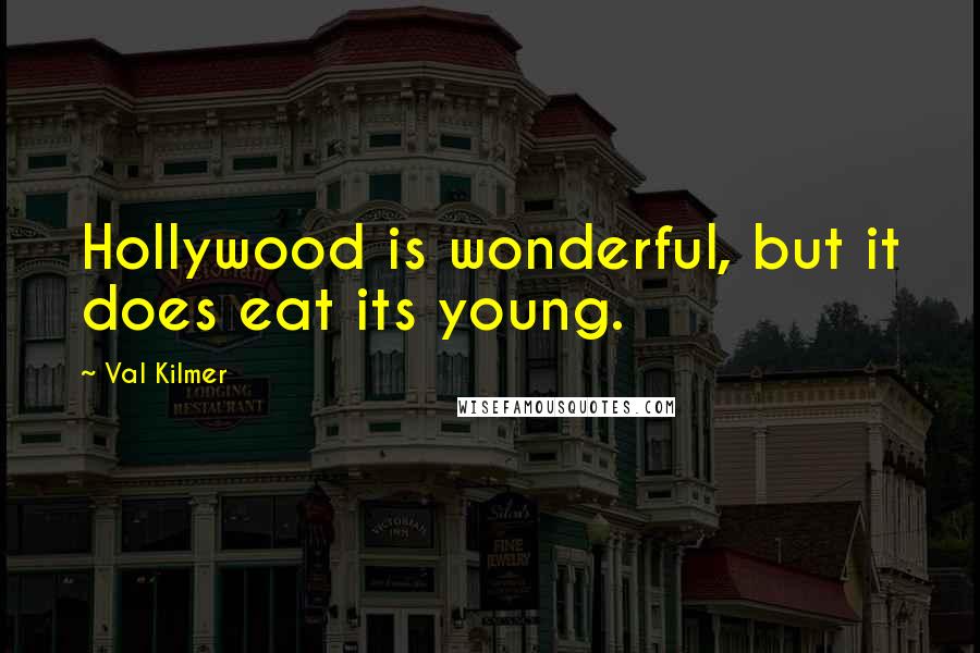 Val Kilmer Quotes: Hollywood is wonderful, but it does eat its young.
