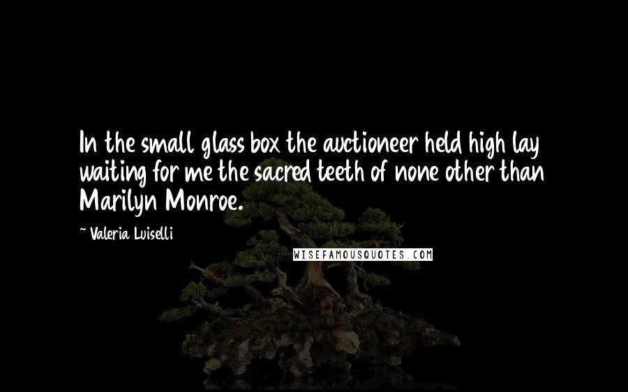 Valeria Luiselli Quotes: In the small glass box the auctioneer held high lay waiting for me the sacred teeth of none other than Marilyn Monroe.