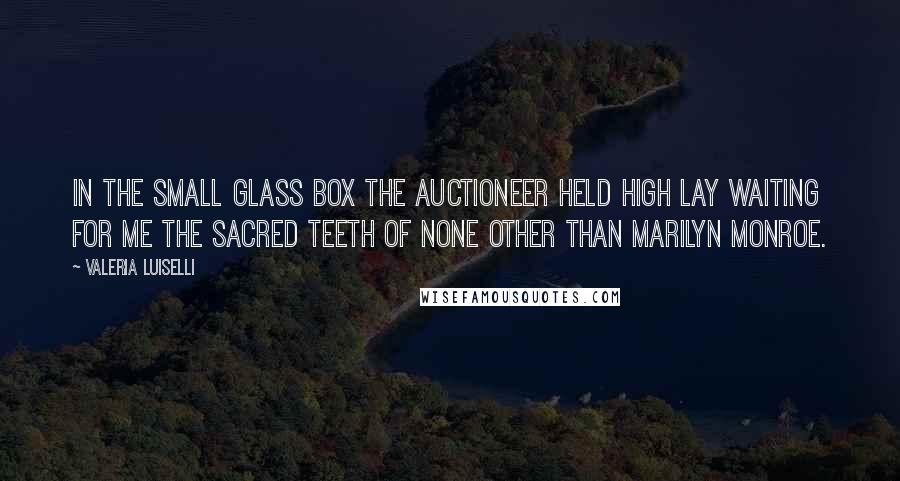 Valeria Luiselli Quotes: In the small glass box the auctioneer held high lay waiting for me the sacred teeth of none other than Marilyn Monroe.