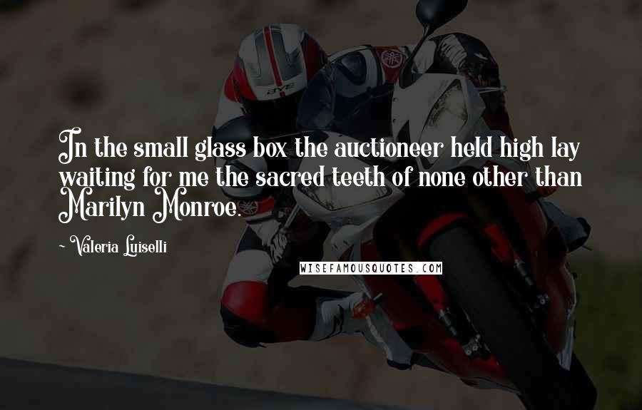 Valeria Luiselli Quotes: In the small glass box the auctioneer held high lay waiting for me the sacred teeth of none other than Marilyn Monroe.