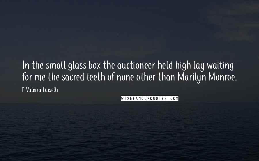 Valeria Luiselli Quotes: In the small glass box the auctioneer held high lay waiting for me the sacred teeth of none other than Marilyn Monroe.