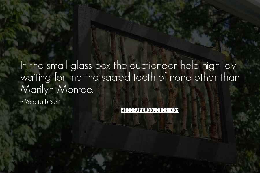 Valeria Luiselli Quotes: In the small glass box the auctioneer held high lay waiting for me the sacred teeth of none other than Marilyn Monroe.