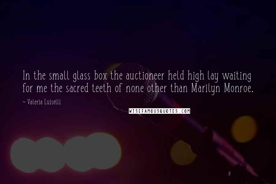 Valeria Luiselli Quotes: In the small glass box the auctioneer held high lay waiting for me the sacred teeth of none other than Marilyn Monroe.