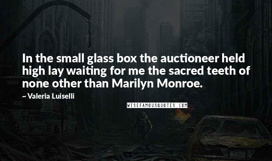 Valeria Luiselli Quotes: In the small glass box the auctioneer held high lay waiting for me the sacred teeth of none other than Marilyn Monroe.