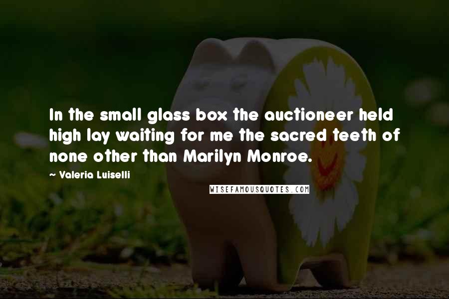Valeria Luiselli Quotes: In the small glass box the auctioneer held high lay waiting for me the sacred teeth of none other than Marilyn Monroe.