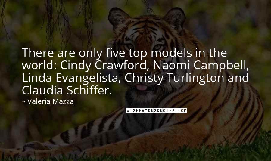 Valeria Mazza Quotes: There are only five top models in the world: Cindy Crawford, Naomi Campbell, Linda Evangelista, Christy Turlington and Claudia Schiffer.