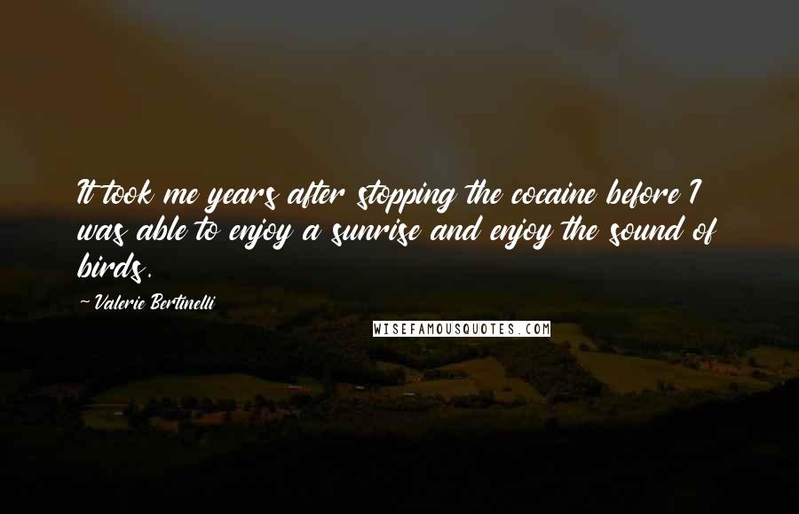 Valerie Bertinelli Quotes: It took me years after stopping the cocaine before I was able to enjoy a sunrise and enjoy the sound of birds.