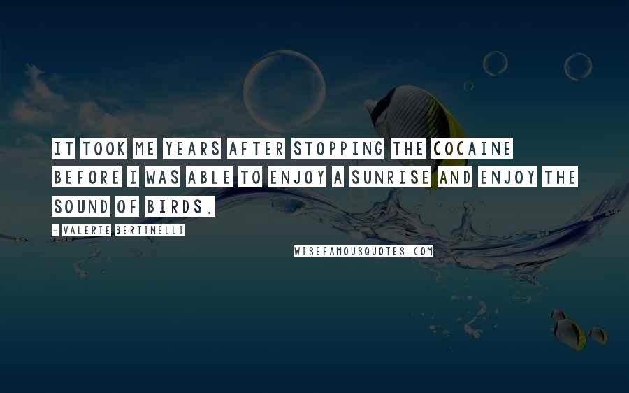 Valerie Bertinelli Quotes: It took me years after stopping the cocaine before I was able to enjoy a sunrise and enjoy the sound of birds.