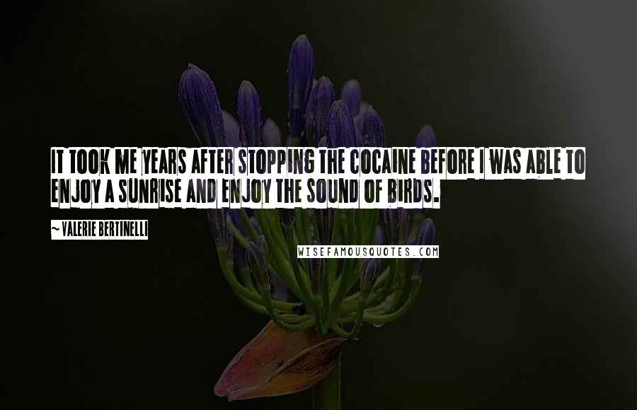 Valerie Bertinelli Quotes: It took me years after stopping the cocaine before I was able to enjoy a sunrise and enjoy the sound of birds.