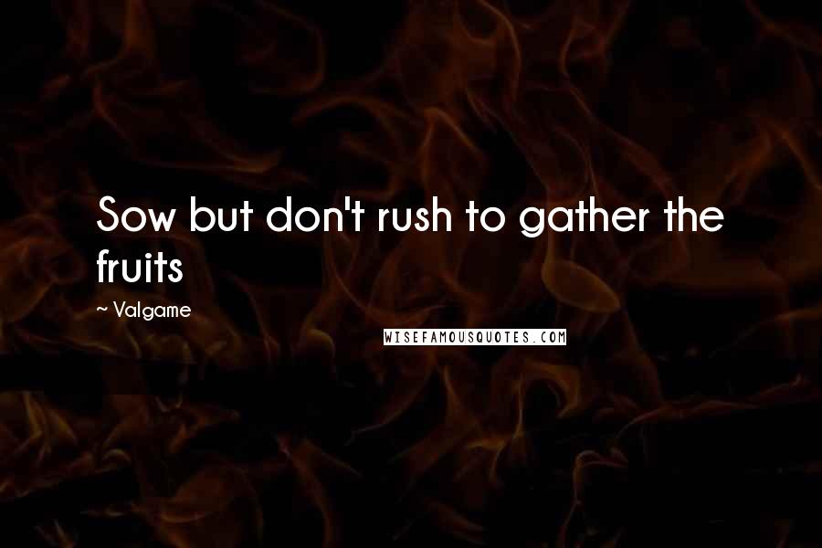 Valgame Quotes: Sow but don't rush to gather the fruits