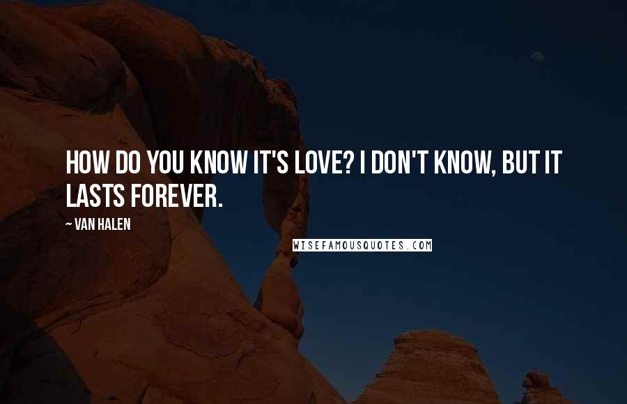 Van Halen Quotes: How do you know it's love? I don't know, but it lasts forever.