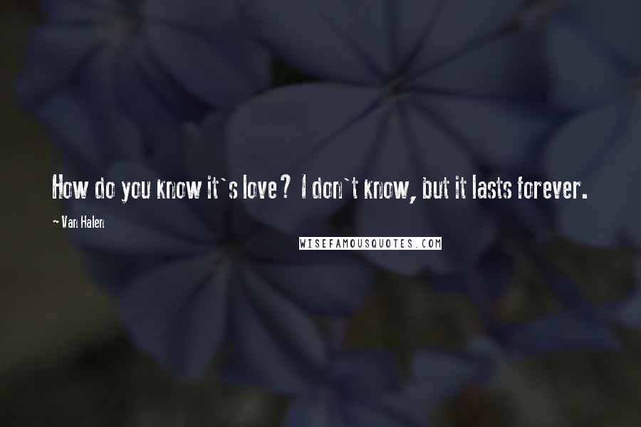 Van Halen Quotes: How do you know it's love? I don't know, but it lasts forever.