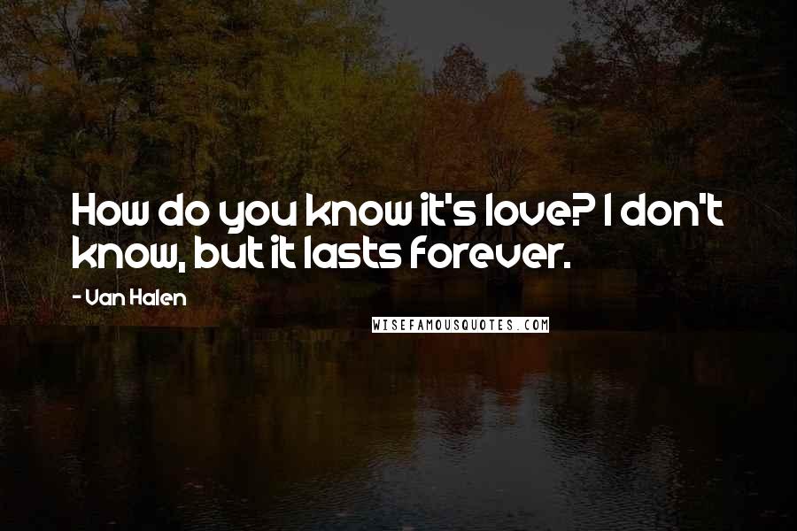 Van Halen Quotes: How do you know it's love? I don't know, but it lasts forever.