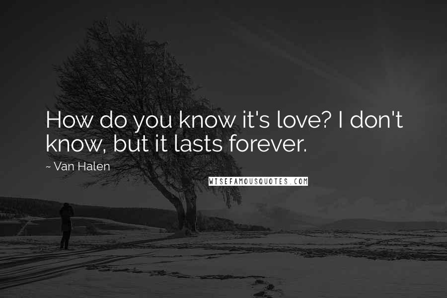 Van Halen Quotes: How do you know it's love? I don't know, but it lasts forever.