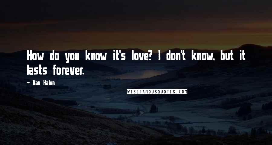 Van Halen Quotes: How do you know it's love? I don't know, but it lasts forever.