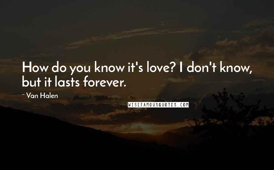 Van Halen Quotes: How do you know it's love? I don't know, but it lasts forever.