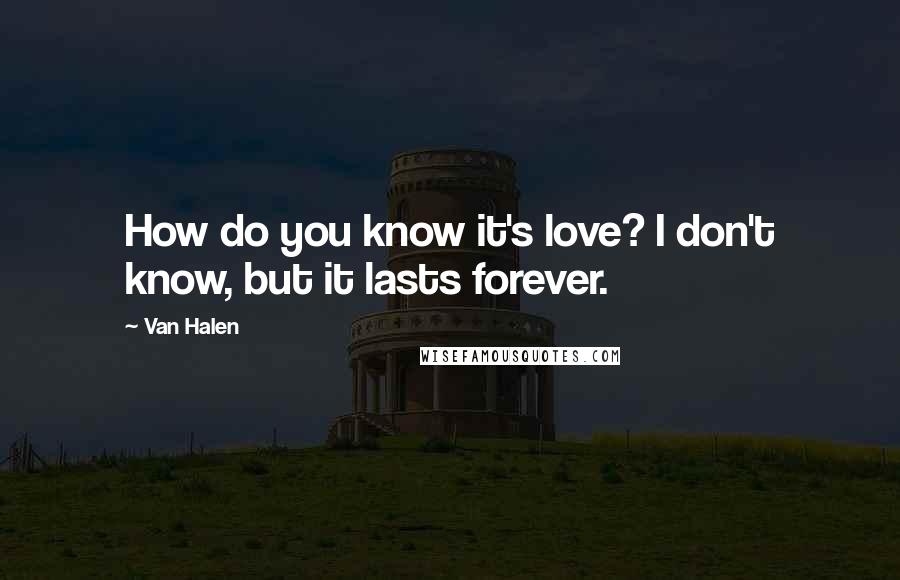 Van Halen Quotes: How do you know it's love? I don't know, but it lasts forever.