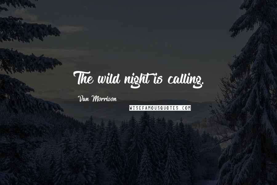 Van Morrison Quotes: The wild night is calling.