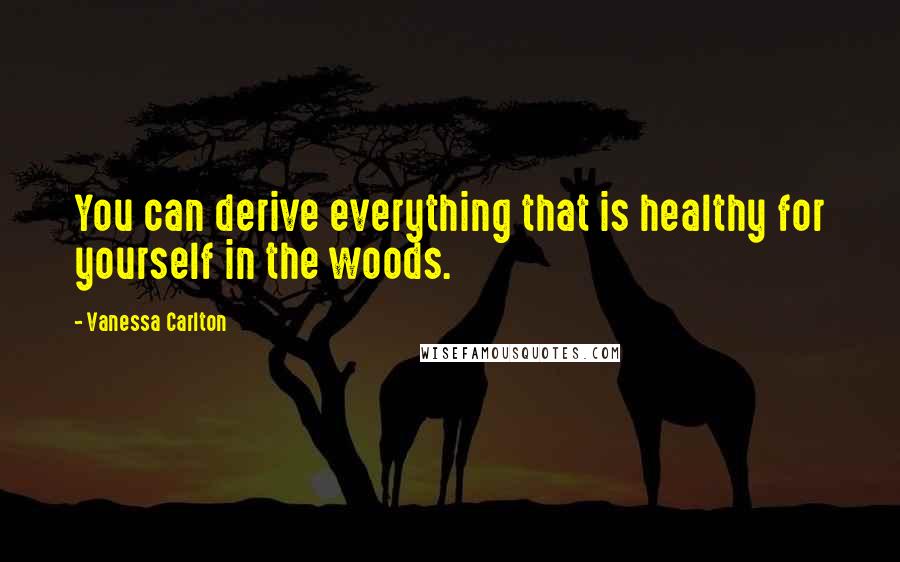 Vanessa Carlton Quotes: You can derive everything that is healthy for yourself in the woods.